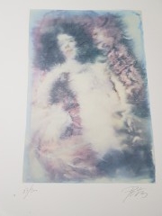 cartella di litografie