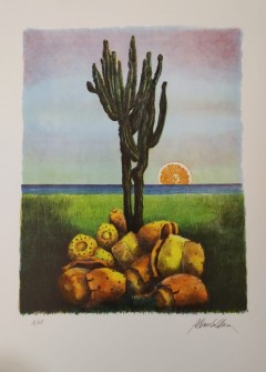 Litografia a colori firmata e numerata