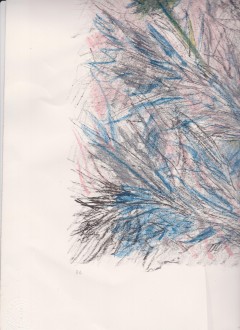 Litografia Michele Cascella ''Fiori di Campo''una P.A firmata.