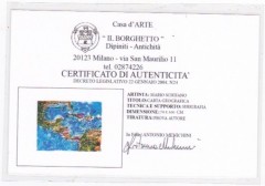 MARIO SCHIFANO-  SERIGRAFIA P.A. CM 70 X 100 CARTA GEOGRAFICA