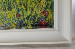 GINESTRE DI PRIMAVERA