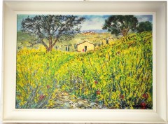 GINESTRE DI PRIMAVERA