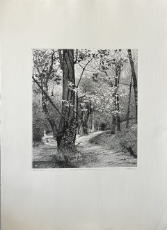 Acquaforte di Agostino Zaliani