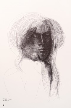  Figura 