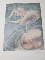 cartella di litografie