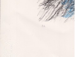 Litografia Michele Cascella ''Fiori di Campo''una P.A firmata.