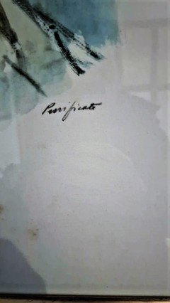 PURIFICATO - Ragazza