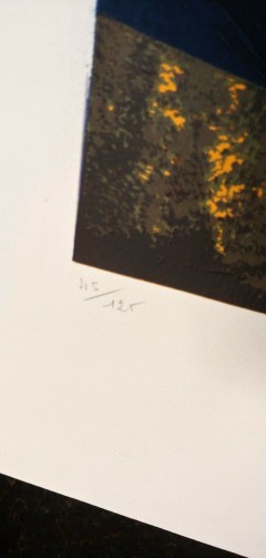 GIANNI DOVA - serigrafia con certificato di autenticità