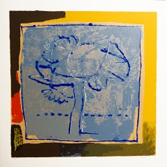 Serigrafia Manlio Bacosi