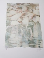 cartella di litografie