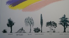 Bruno Munari - Un viale di alberi diversi -Serigrafia - 180 x 50 cm