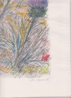 Litografia Michele Cascella ''Fiori di Campo''una P.A firmata.