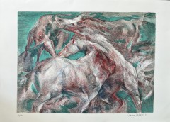 Litografia su pietra di Franco Vasconi