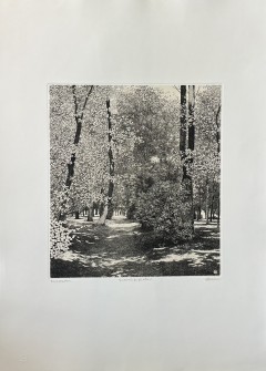 Acquaforte di Agostino Zaliani