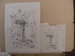 Litografia Filippo De Pisis '' Natura morta'' con autentica.