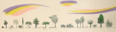 Bruno Munari - Un viale di alberi diversi -Serigrafia - 180 x 50 cm