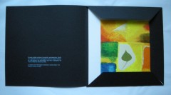 RENZO NUCARA - 