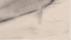 litografia di Giacomo Mnzù ''ritratto donna nuda''