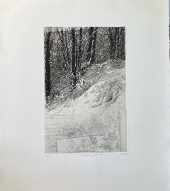 Acquaforte di Livio Ceschin